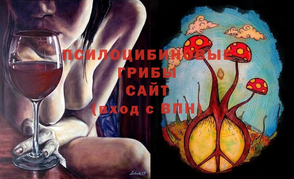 крисы Яранск