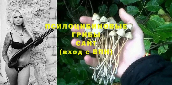 соль курить ск Нея